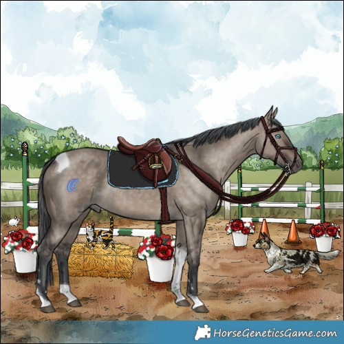 Horse Color:Brown Dun Merle Tobiano Rabicano 