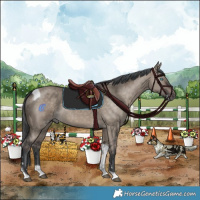 Horse Color:Brown Dun Merle Tobiano Rabicano