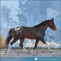 Horse Color:Brown Tobiano Skewed LP Spotted