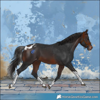 Horse Color:Brown Tobiano Skewed LP Spotted