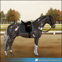 Horse Color:White Spotted Silver Brown Tobiano 