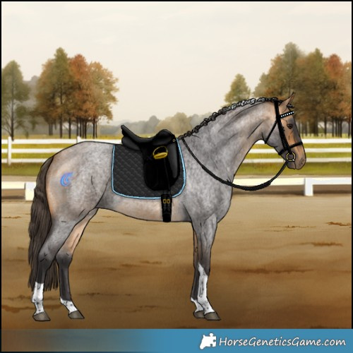 Horse Color:Buckskin Roan Tobiano 