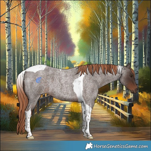 Horse Color:Liver Red Roan Tobiano 