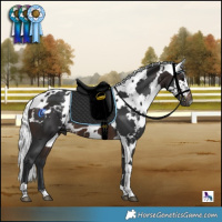 Horse Color:Brown Harlequin Merle Tobiano 