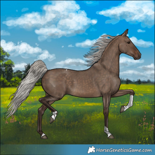 Horse Color:White Spotted Silver Brown Dun Tobiano 