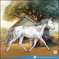 Horse Color:Silver Brown Harlequin Merle Tobiano 