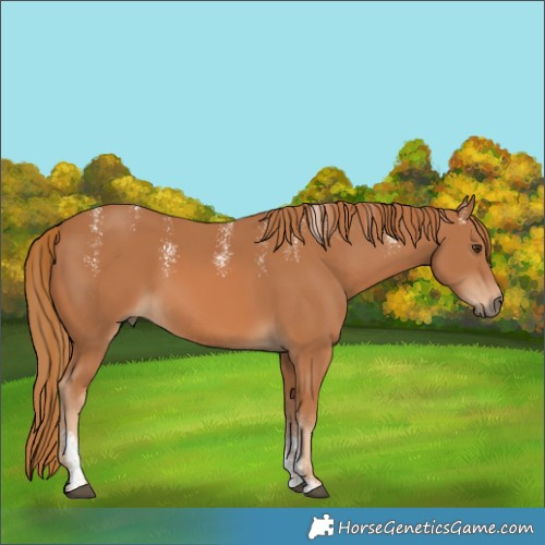 Horse Color:Powder White Chestnut 