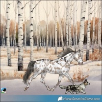 Horse Color:Liver Red Dun Mushroom Leopard 