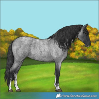 Horse Color:Powder White Blue Roan 
