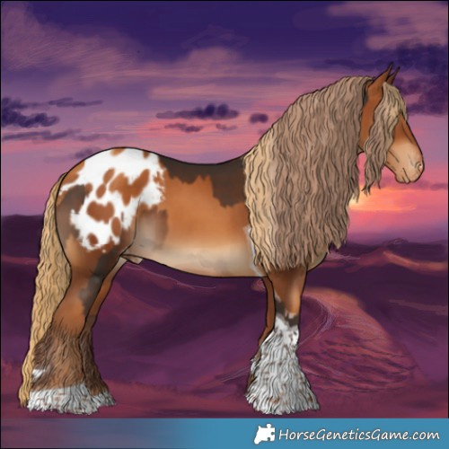 Horse Color:Liver Chestnut Tobiano Appaloosa  and Gray Gold Champagne Tobiano Appaloosa 