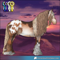 Horse Color:Liver Chestnut Tobiano Appaloosa and Gray Gold Champagne Tobiano Appaloosa