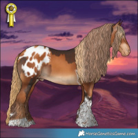 Horse Color:Liver Chestnut Tobiano Appaloosa  and Gray Gold Champagne Tobiano Appaloosa 