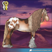 Horse Color:Liver Chestnut Tobiano Appaloosa  and Gray Gold Champagne Tobiano Appaloosa 