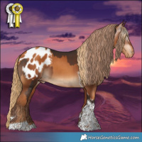 Horse Color:Liver Chestnut Tobiano Appaloosa  and Gray Gold Champagne Tobiano Appaloosa 
