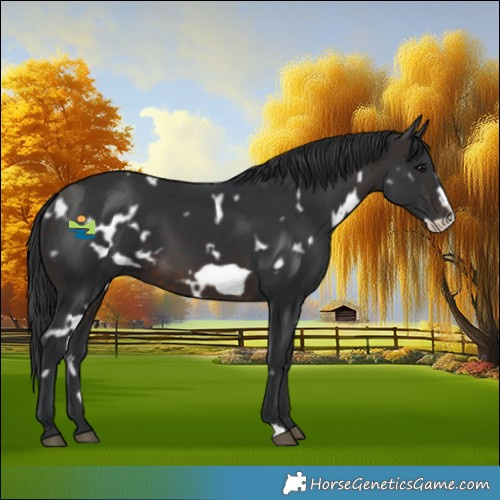 Horse Color:White Spotted Brown Frame 