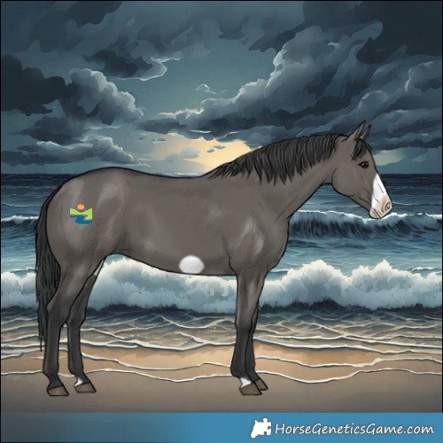 Horse Color:Grullo Frame 