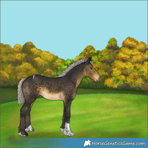 Horse Color:Silver Buckskin Tobiano 