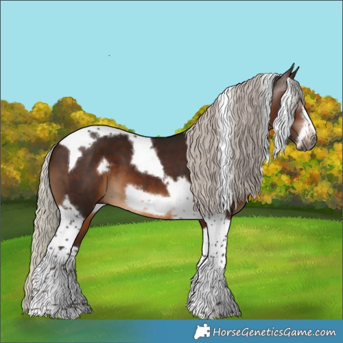 Horse Color:Gray Silver Bay Tobiano Frame