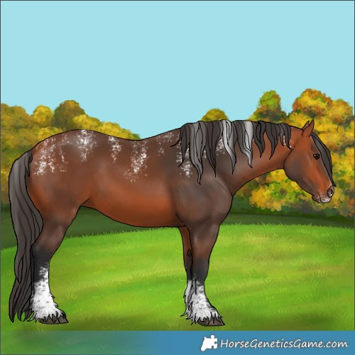 Horse Color:Powder White Bay 