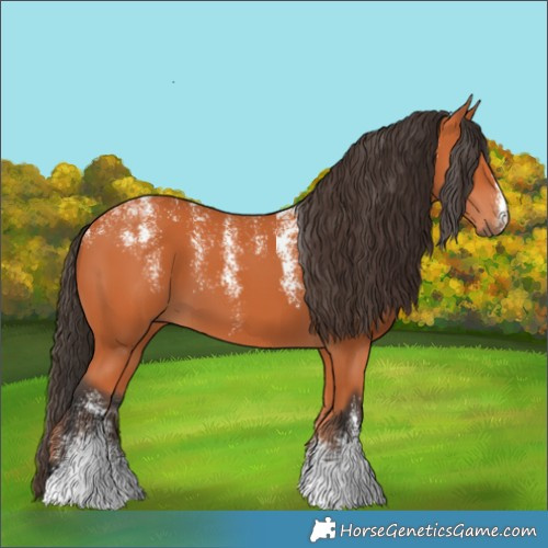 Horse Color:Powder White Bay 