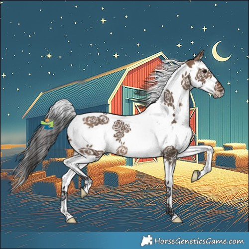 Horse Color:White Spotted Brown Dun Splash Tobiano 