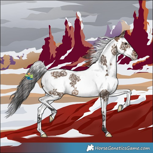 Horse Color:White Spotted Brown Dun Splash Tobiano 