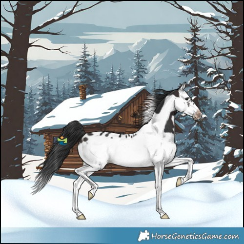 Horse Color:Brown Splash Frame Blanket 