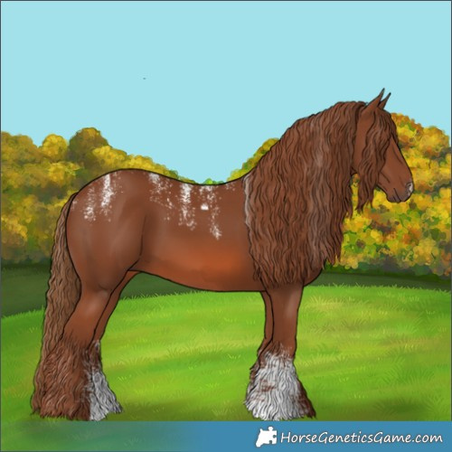Horse Color:Powder White Chestnut 