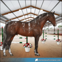 Horse Color:Powder White Liver Chestnut Mushroom 