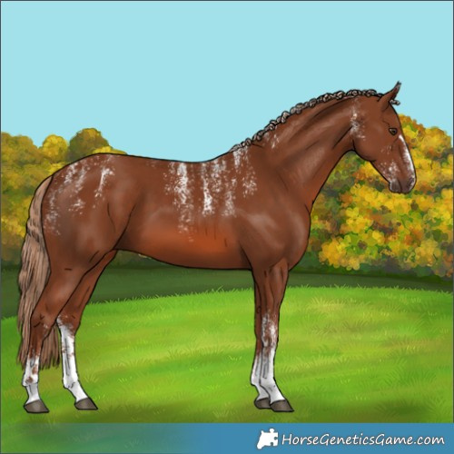 Horse Color:Powder White Chestnut