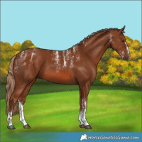 Horse Color:Powder White Chestnut 