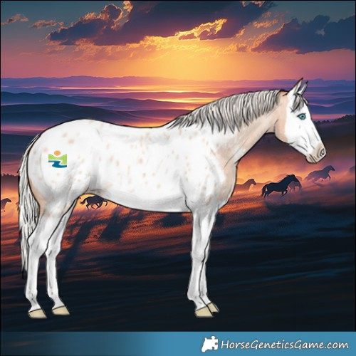 Horse Color:Silver Amber Champagne Roan Splash Near Leopard 