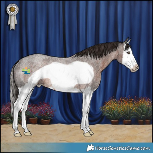 Horse Color:Liver Red Roan Splash Frame Rabicano 