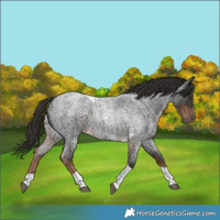 Horse Color:Liver Red Roan Tobiano