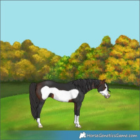Horse Color:Brown Frame 