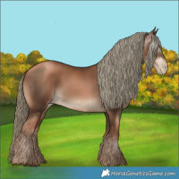 Horse Color:Gray White Spotted Liver Chestnut Pearl Mushroom