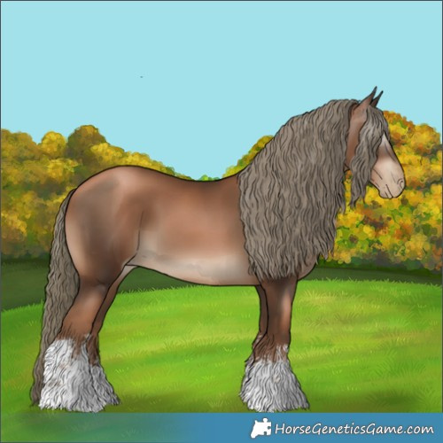 Horse Color:Gray White Spotted Liver Chestnut Pearl Mushroom 