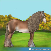 Horse Color:Gray Liver Chestnut Pearl Mushroom 
