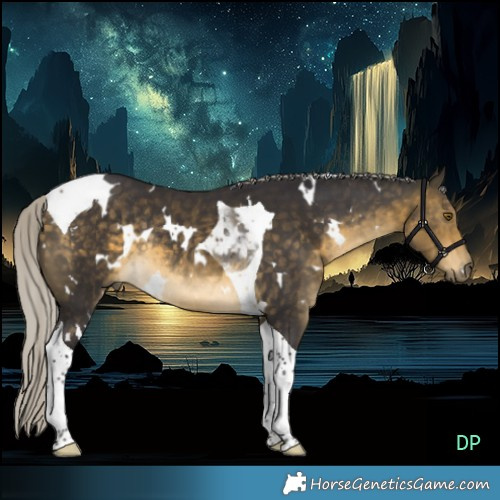 Horse Color:White Spotted Silver Buckskin Tobiano Rabicano 