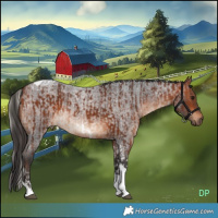 Horse Color:Silver Bay Tobiano  and Bay Roan Tobiano 