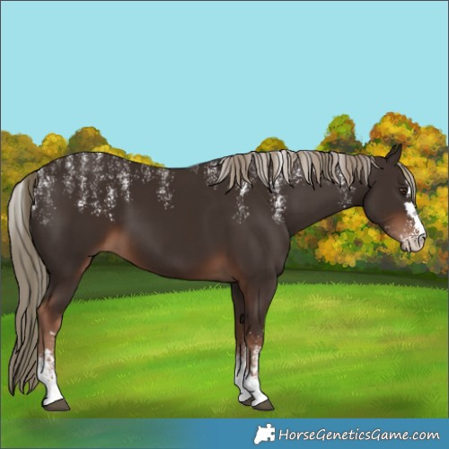 Horse Color:Powder White Liver Chestnut 