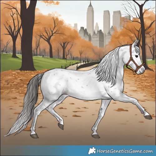 Horse Color:Gray Bay Sabino 