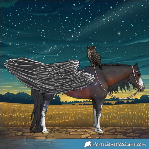 Horse Color:Brown Sabino 
