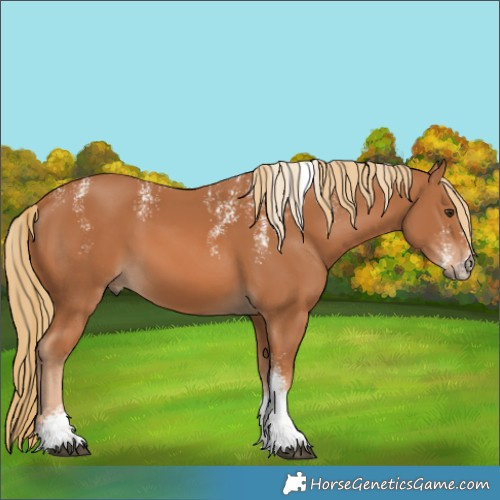 Horse Color:Powder White Chestnut 