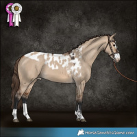 Horse Color:Bay Dun Skewed LP Spotted