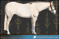 Horse Color:Buckskin Roan Pearl Merle Rabicano