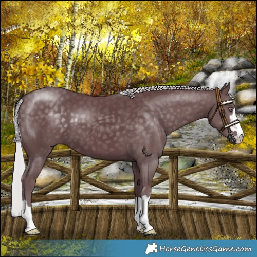 Horse Color:Chocolate Silver Black Chinchilla 