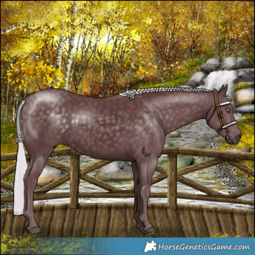 Horse Color:Chocolate Silver Smoky Black Chinchilla 