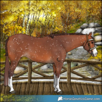 Horse Color:White Spotted Chocolate Bay Snowflake Varnish 