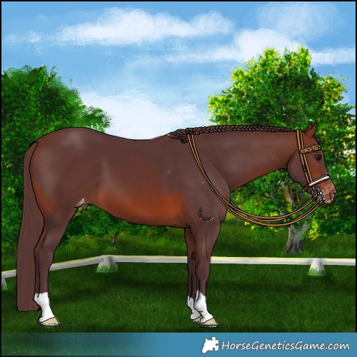 Horse Color:Chocolate Brown Varnish 